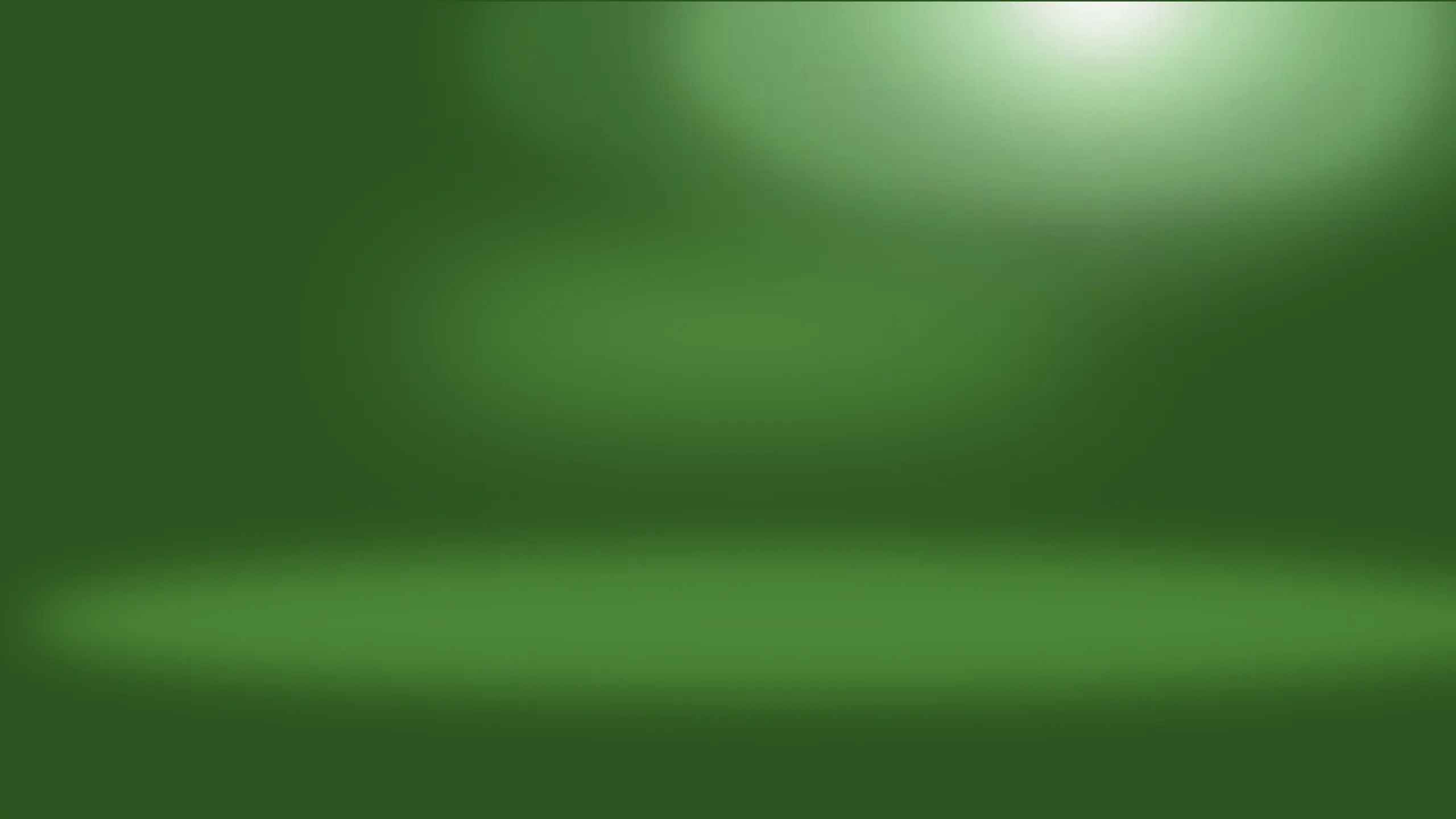 AMG Green Hell Magno